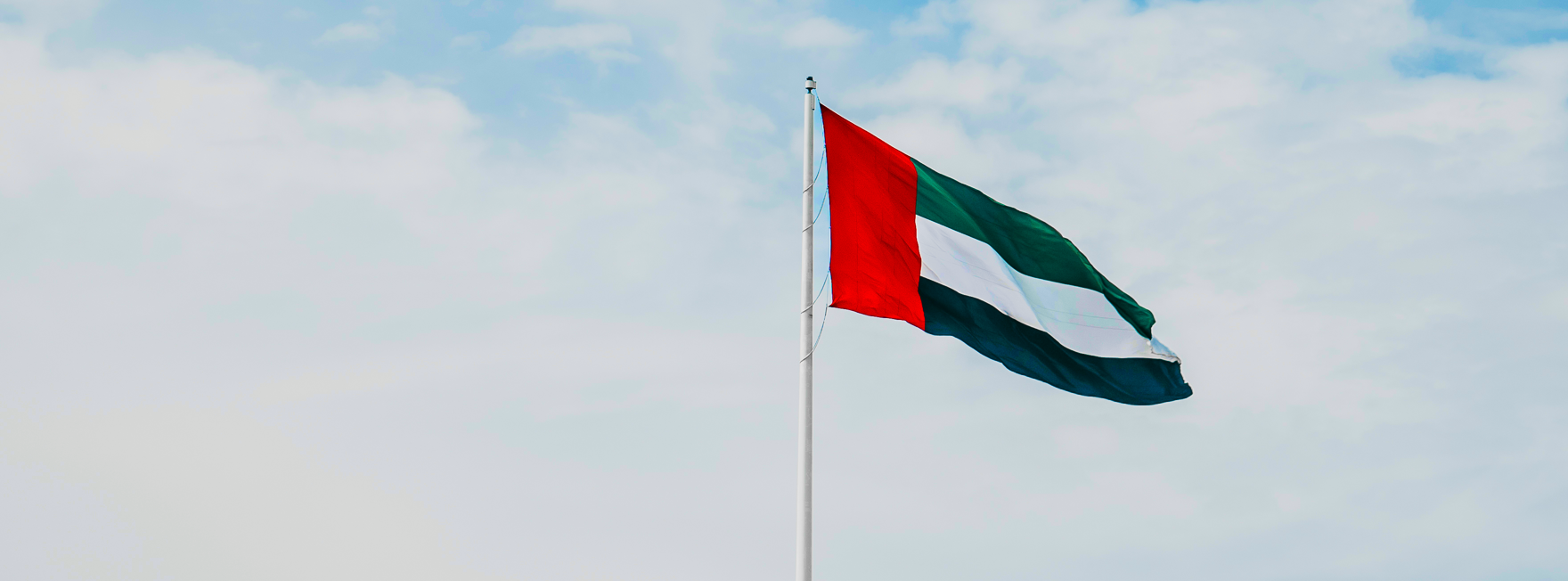 UAE flag