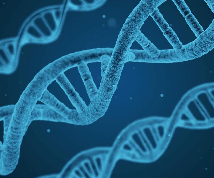 three blue strands of DNA