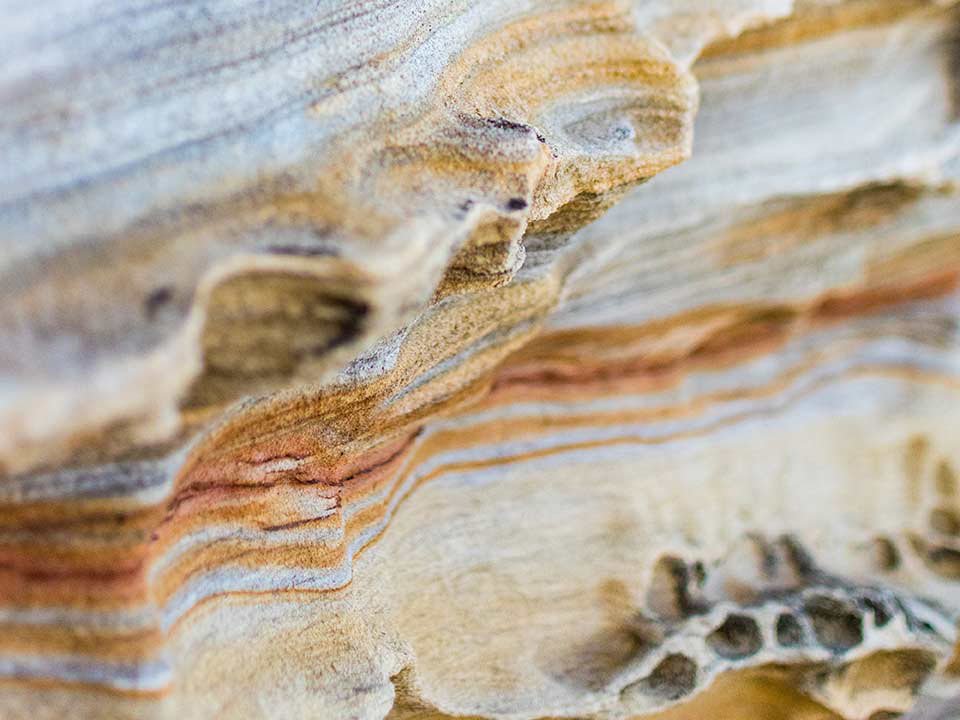 close up of pale yellow and orange rocky surface