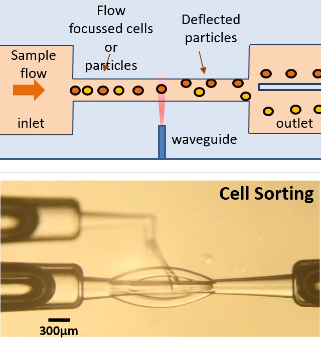 Microfluidic Cell Manipulation