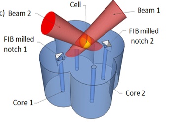 Diagram showing trapping, isolating and rotating cells