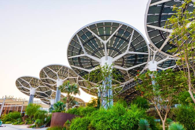 Solar panels and trees