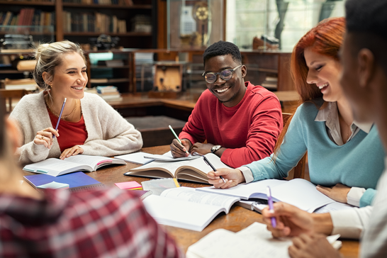 Undergraduate programmes