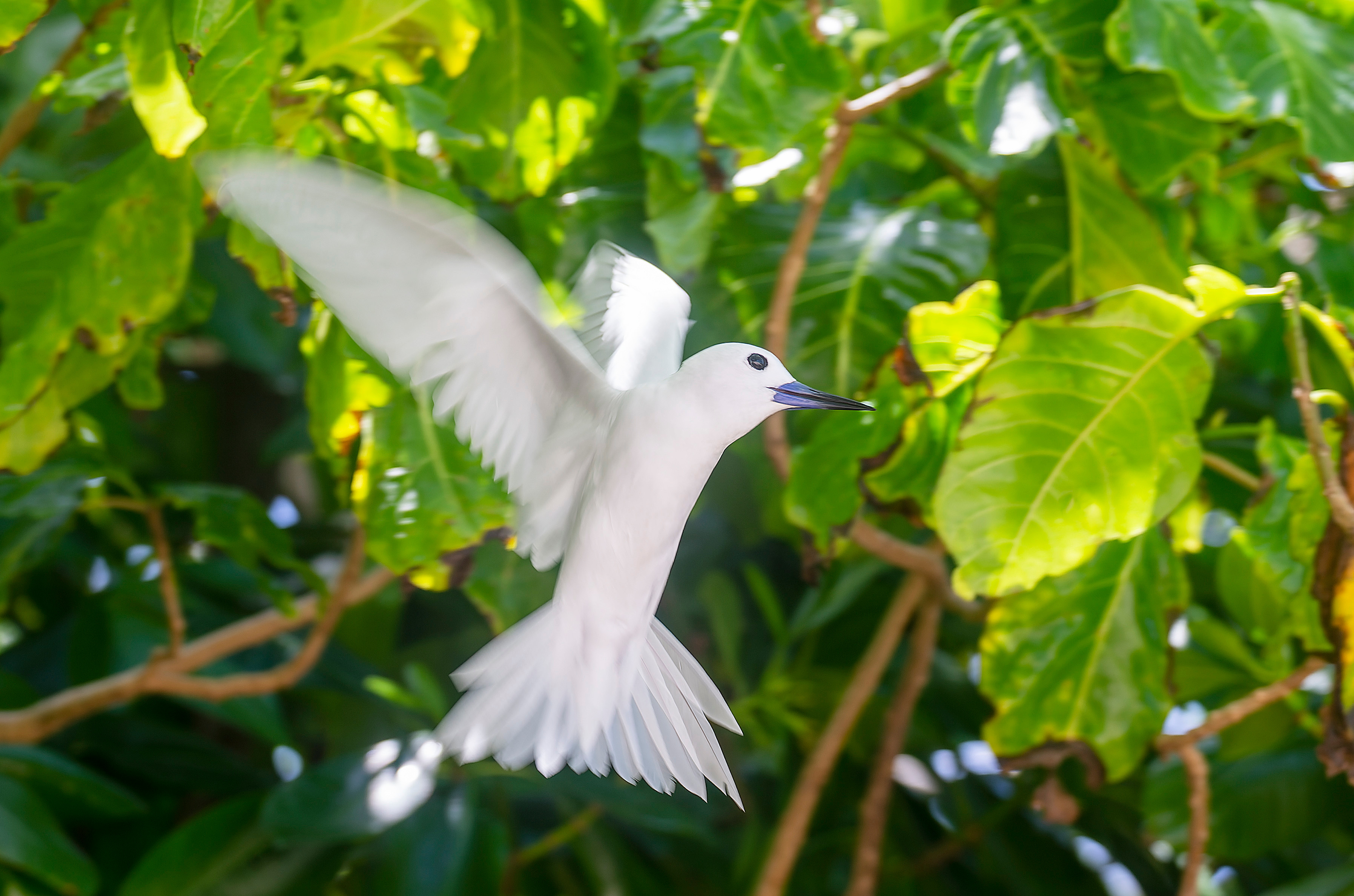 AdobeStock_596326633 (1)