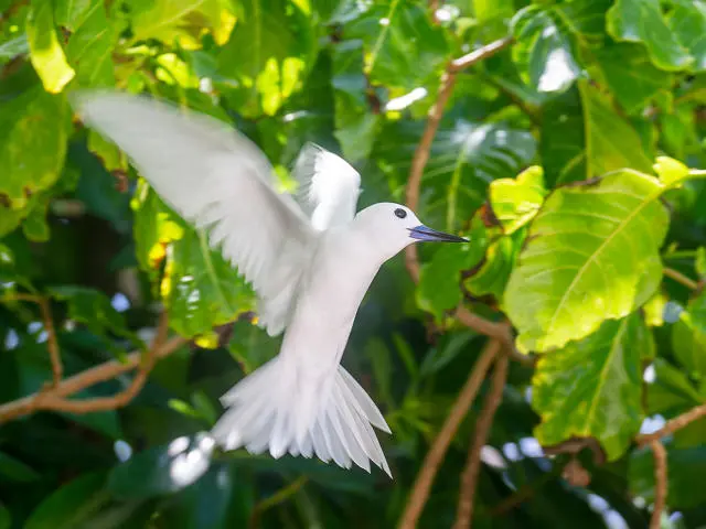 AdobeStock_596326633 (1)