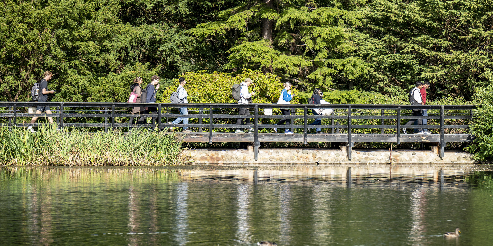 Students walking across a wooden bridge by a reflective Loch, surrounded by lush greenery.
