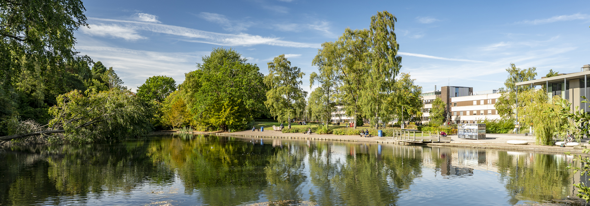 The Loch reflecting the sky, surrounded by lush greenery and the GRID building.
