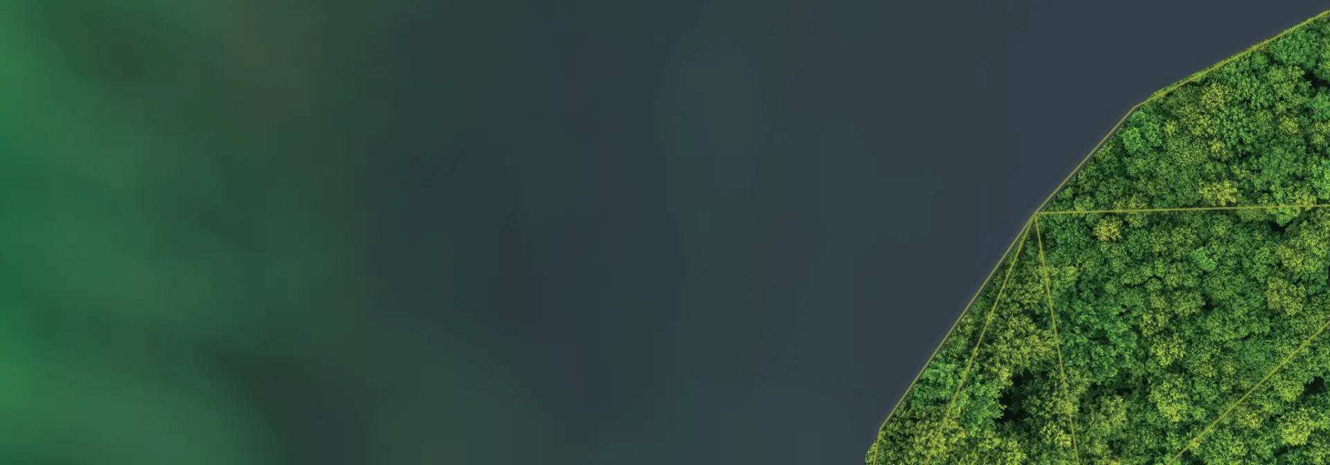 Dubai Climate Hub Banner