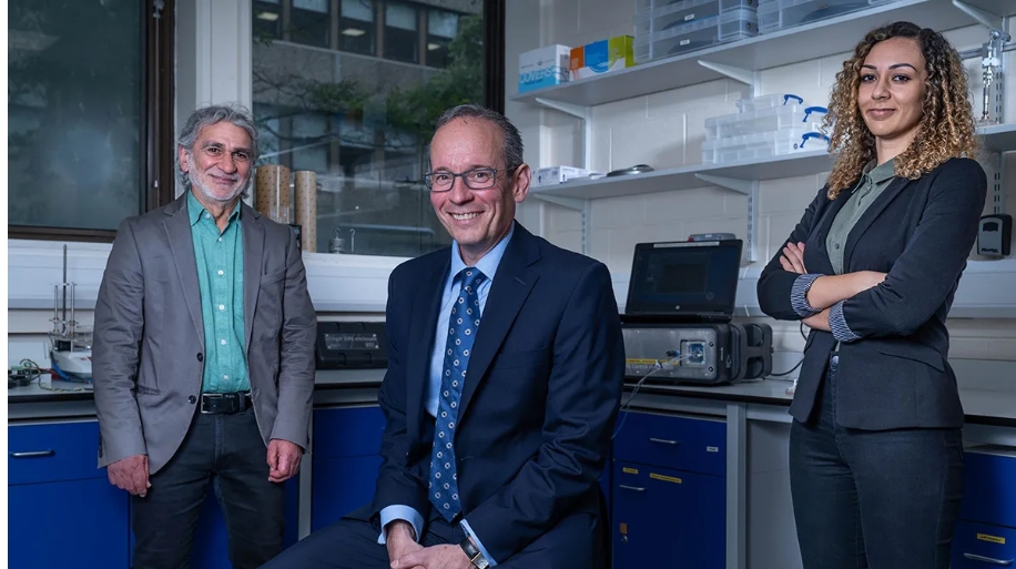 Three healthcare and medical professionals 