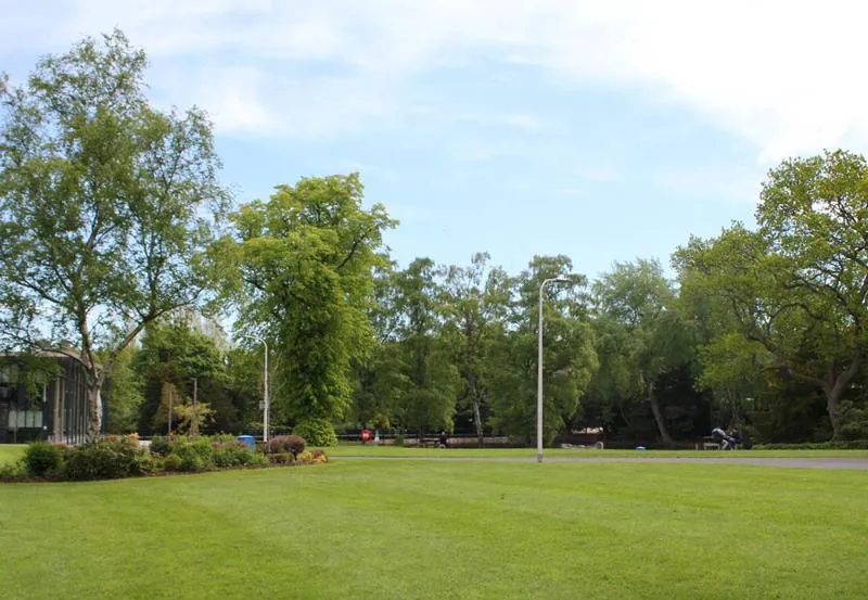 Grass area