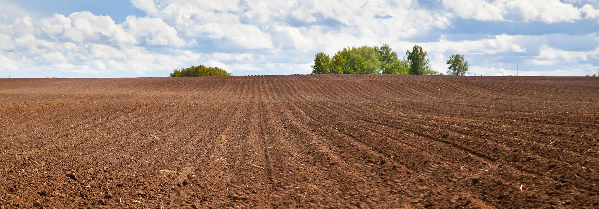 egis-iles-carbon-soil-agriculture