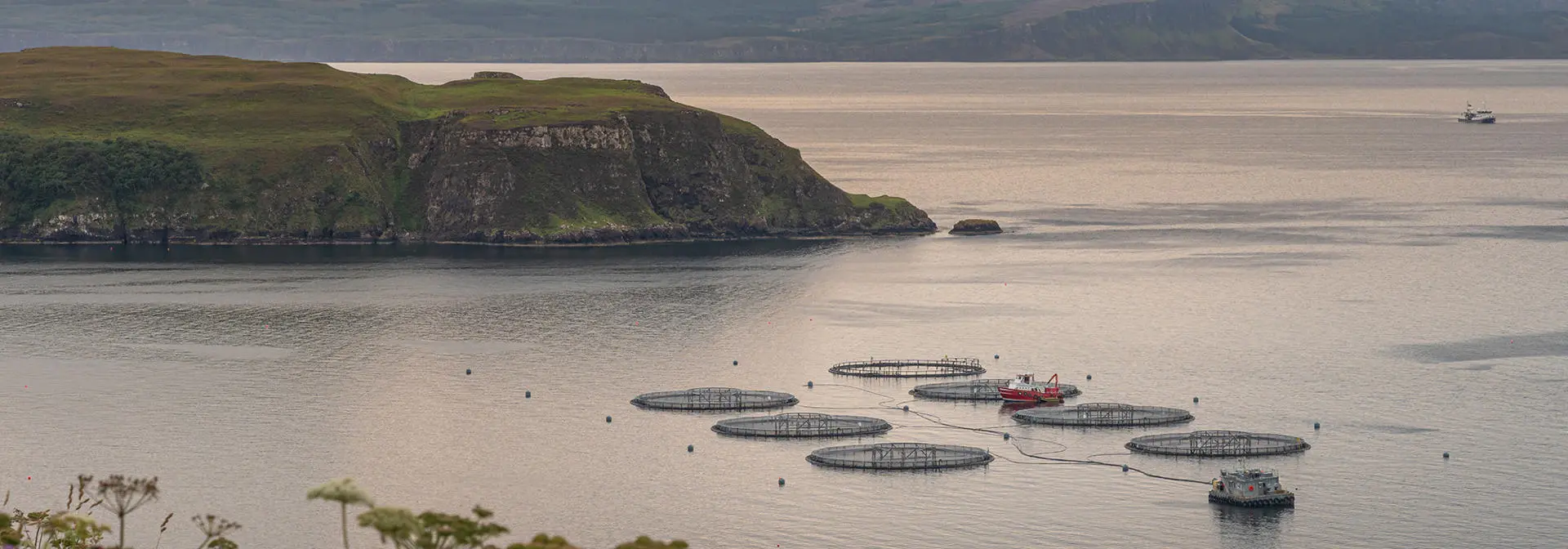 egis-iles-fisheries