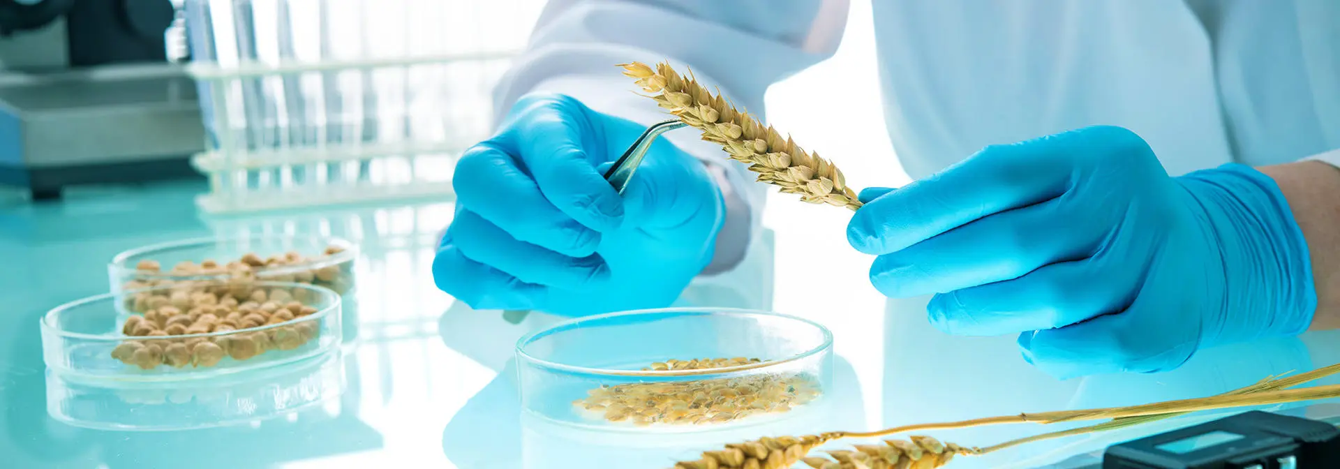 egis-iles-food-research