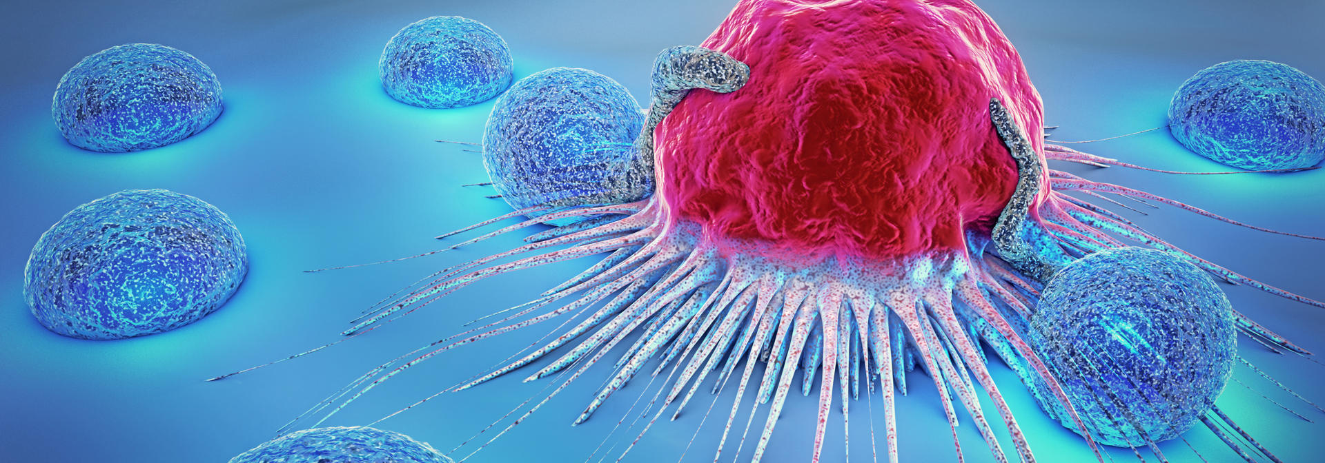 Engineering the fight against cancer