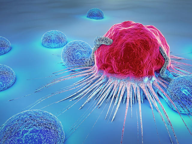 Engineering the fight against cancer