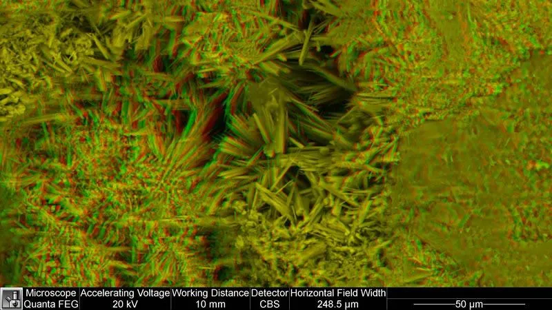 Diatomaceous Earth, comprising many diatoms. Highly porous Diatomaceous Earth, comprising many diatoms. Highly porous