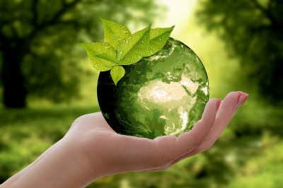 Hand holding a globe, styled like an apple