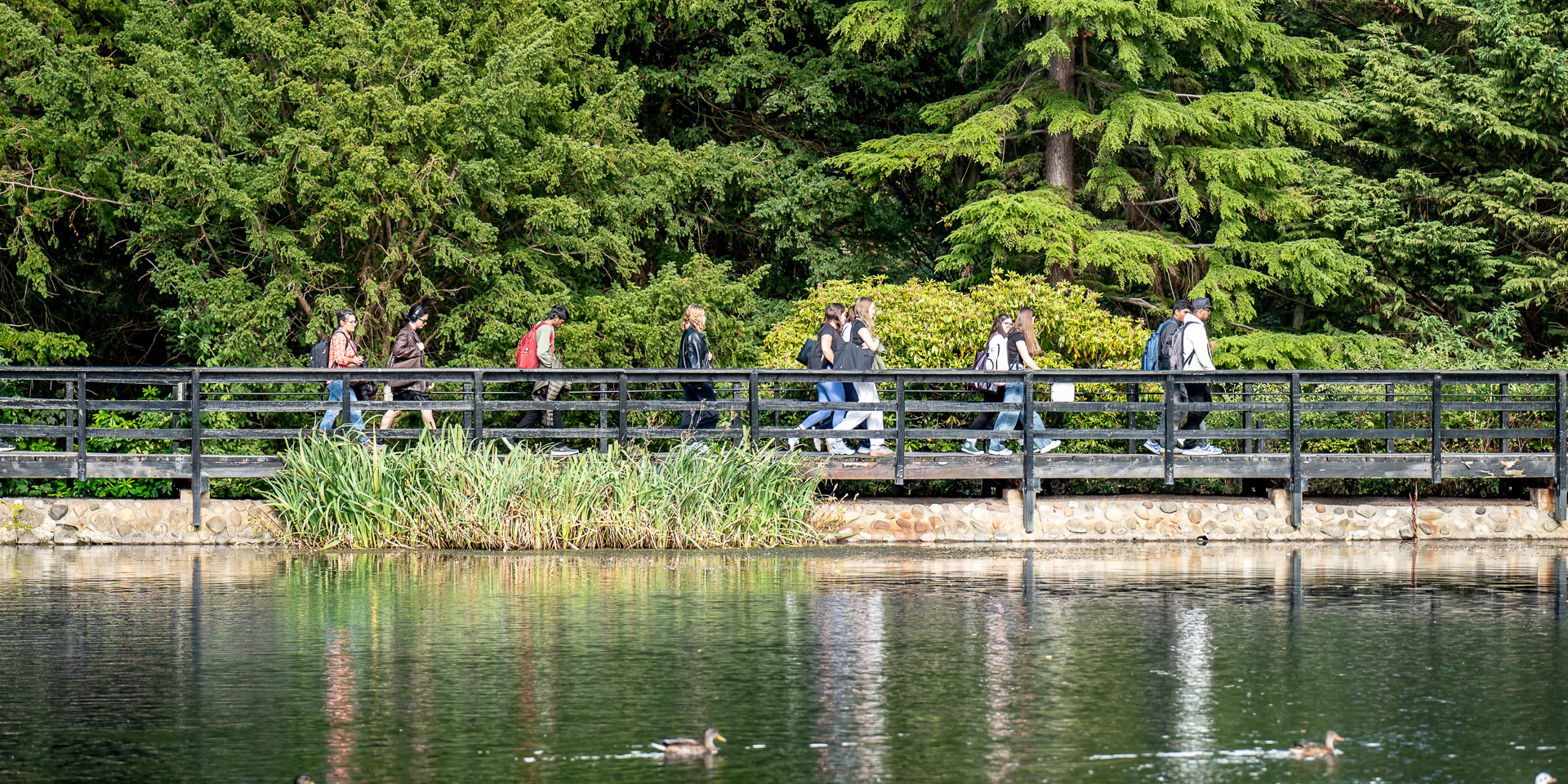 Students walking on a wooden bridge over the loch, surrounded by dense green trees and plants.