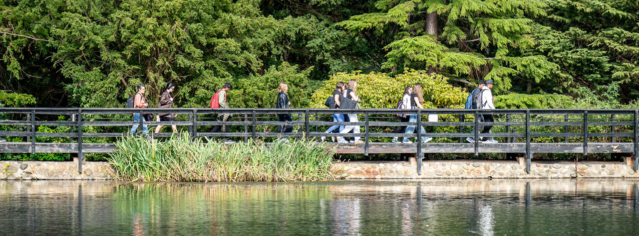 Students walking on a wooden bridge over the loch, surrounded by dense green trees and plants.