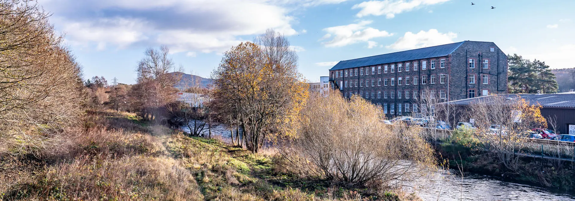 A green path with trees an a stone building opposite.
