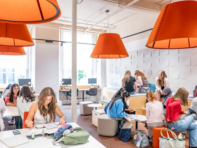 Students working in a group