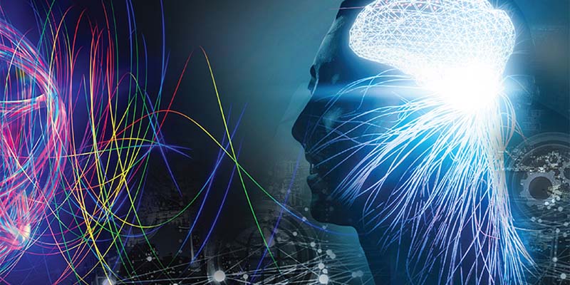 Abstract depiction of a human brain and neural pathways
