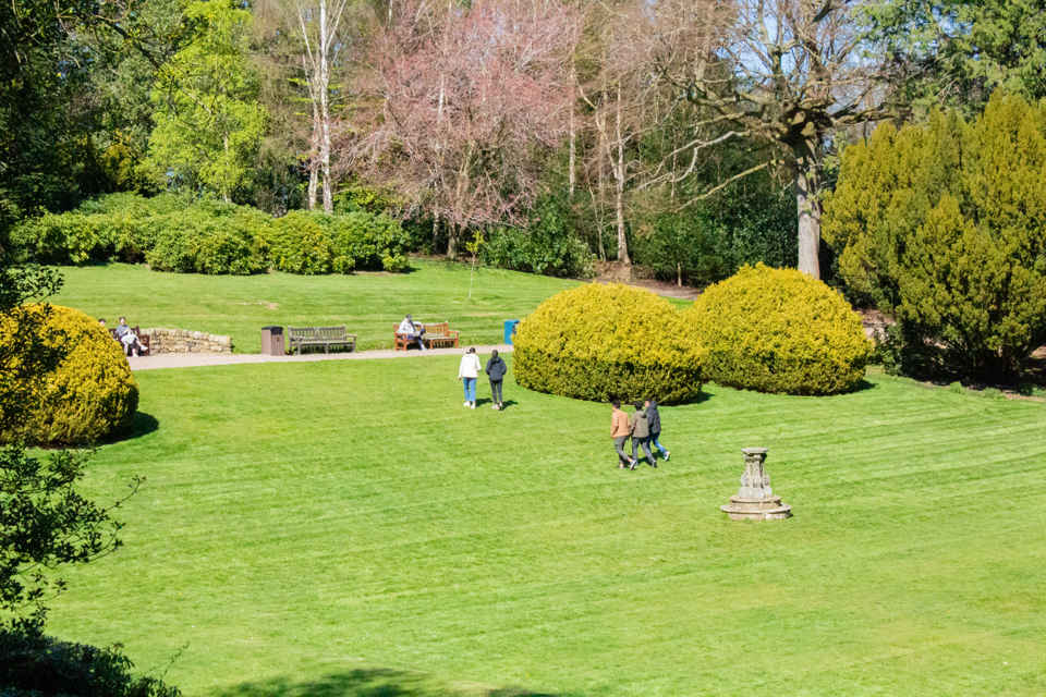 Students in the Sunken Garden at the Edinburgh Campus Picture of students walking across a lawn on a sunny day.