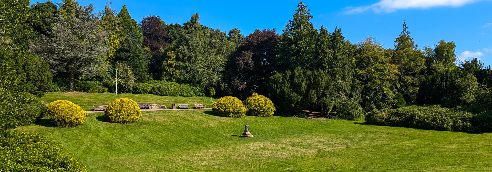 Photography of the lawn of grass on Edinburgh campus.