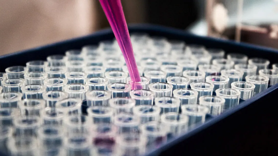 Diagnostics tests up close