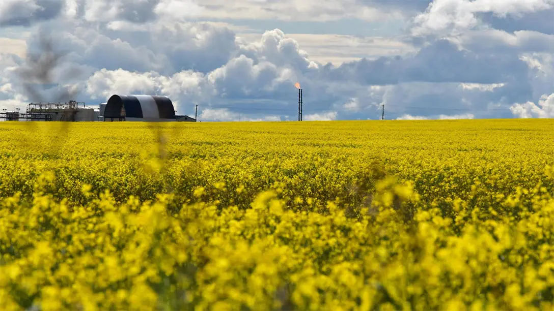 British Columbia Wells