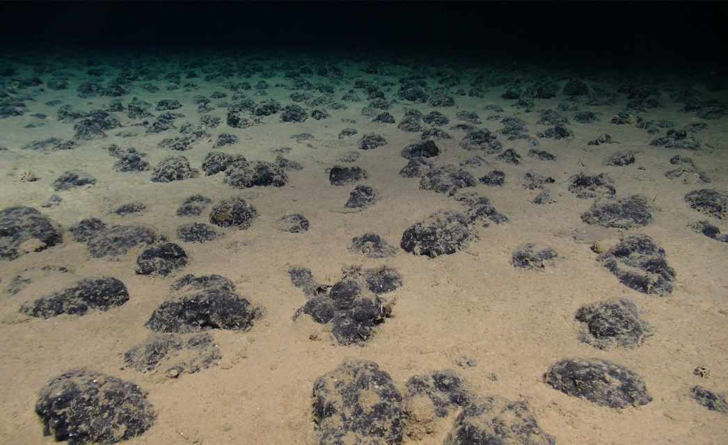 Nodules on the Pacific Ocean floor. Photo by the National Oceanography Centre and the Trustees of the Natural History Museum, with acknowledgement to the NERC SMARTEX project. Nodules on the Pacific Ocean floor. Photo by the National Oceanography Centre.