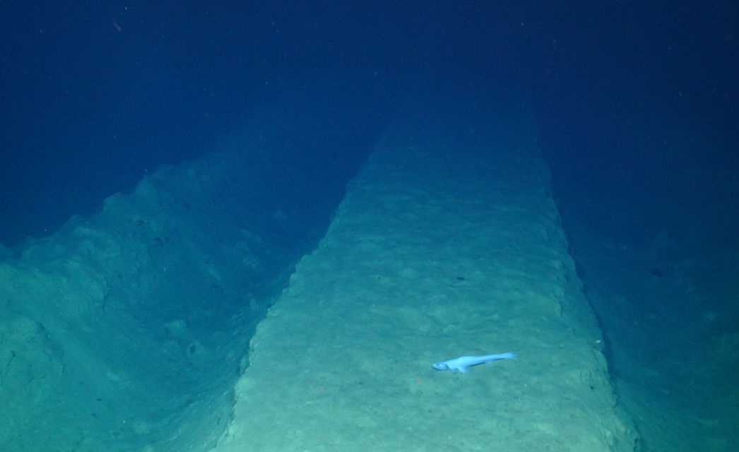 Mining vehicle tracks from 1979 on the Pacific Ocean floor. Photo by the National Oceanography Centre and the Trustees of the Natural History Museum, with acknowledgement to the NERC SMARTEX project. Mining vehicle tracks from 1979 on the Pacific Ocean floor. Photo by the National Oceanography Centre.