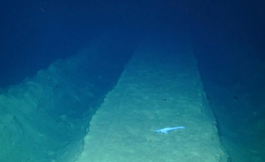 Mining vehicle tracks from 1979 on the Pacific Ocean floor. Photo by the National Oceanography Centre and the Trustees of the Natural History Museum, with acknowledgement to the NERC SMARTEX project. Mining vehicle tracks from 1979 on the Pacific Ocean floor. Photo by the National Oceanography Centre.