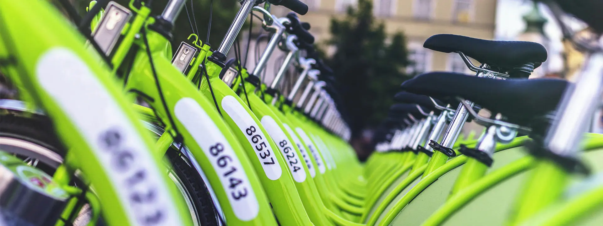 Bikes for hire. Photo by Viktor Keri on Unsplash.