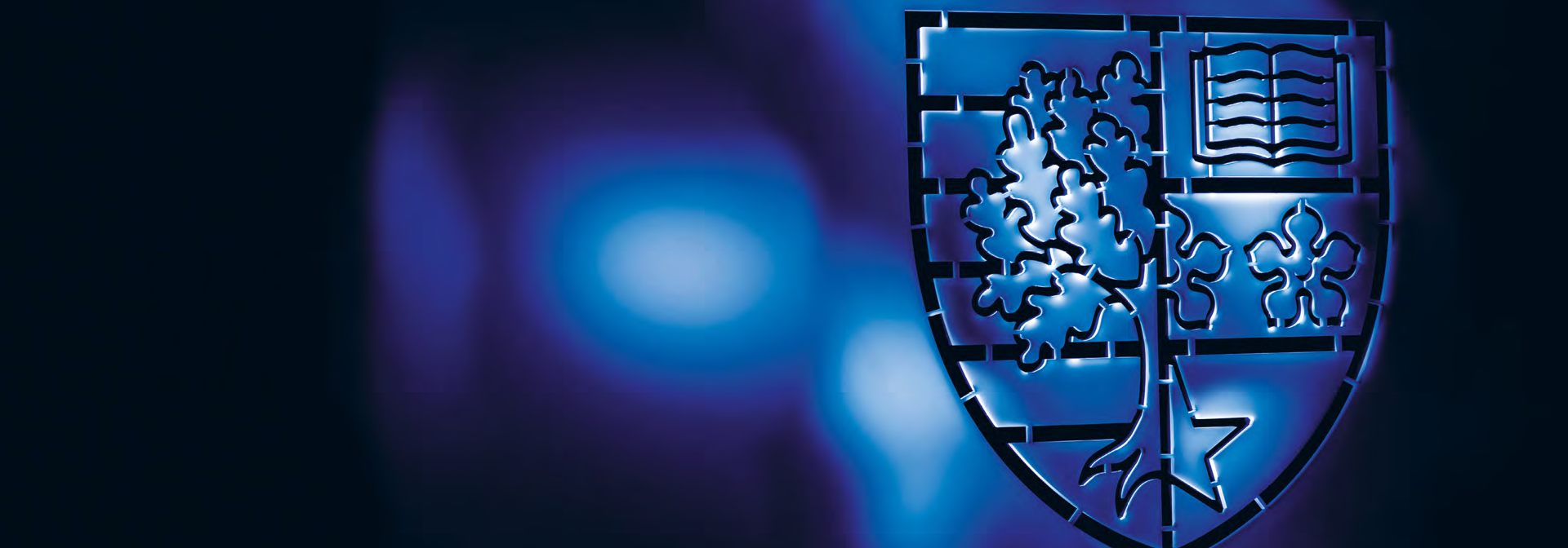 Shield