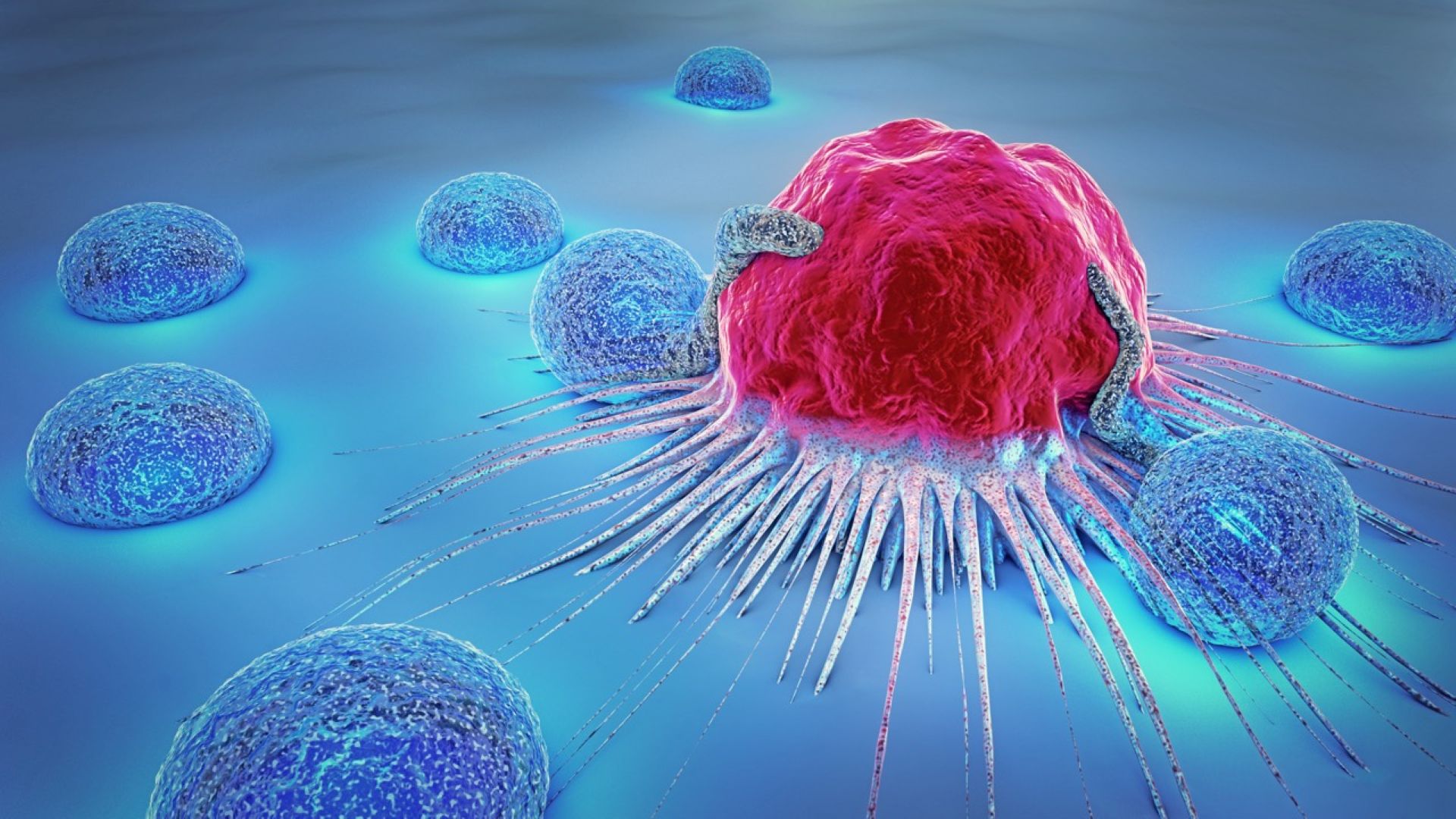 A visualisation of the fight against cancer