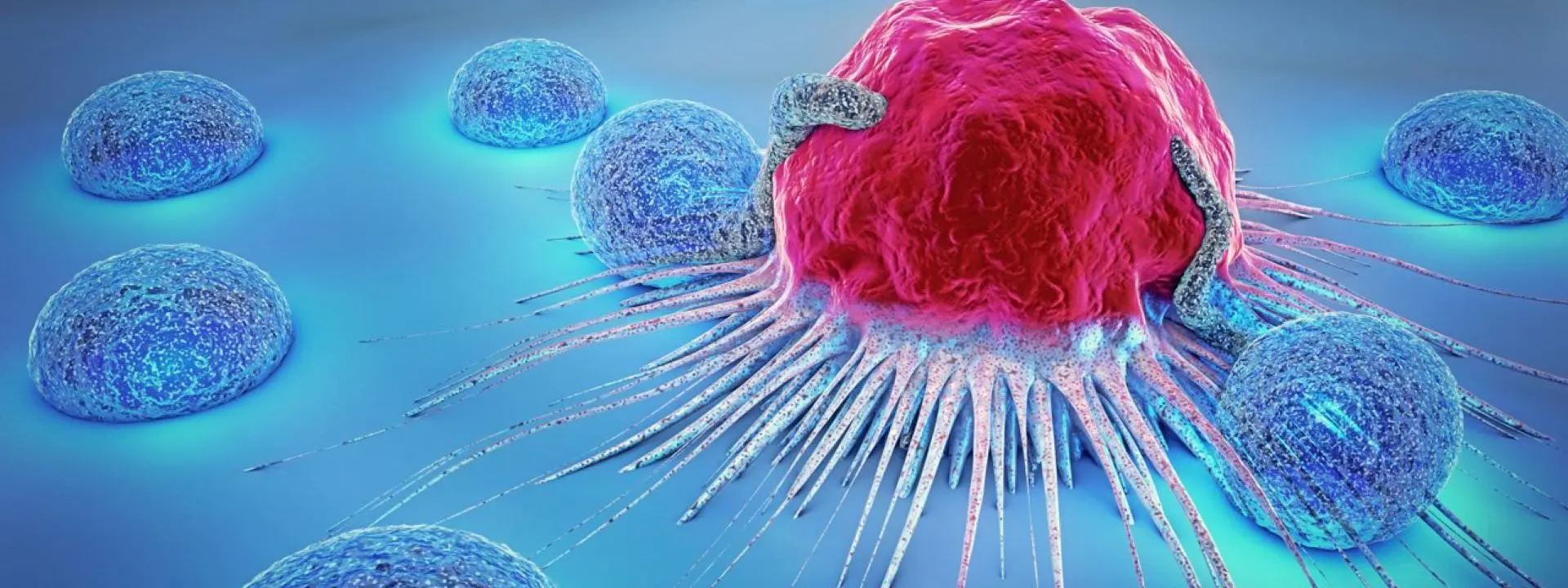A visualisation of the fight against cancer