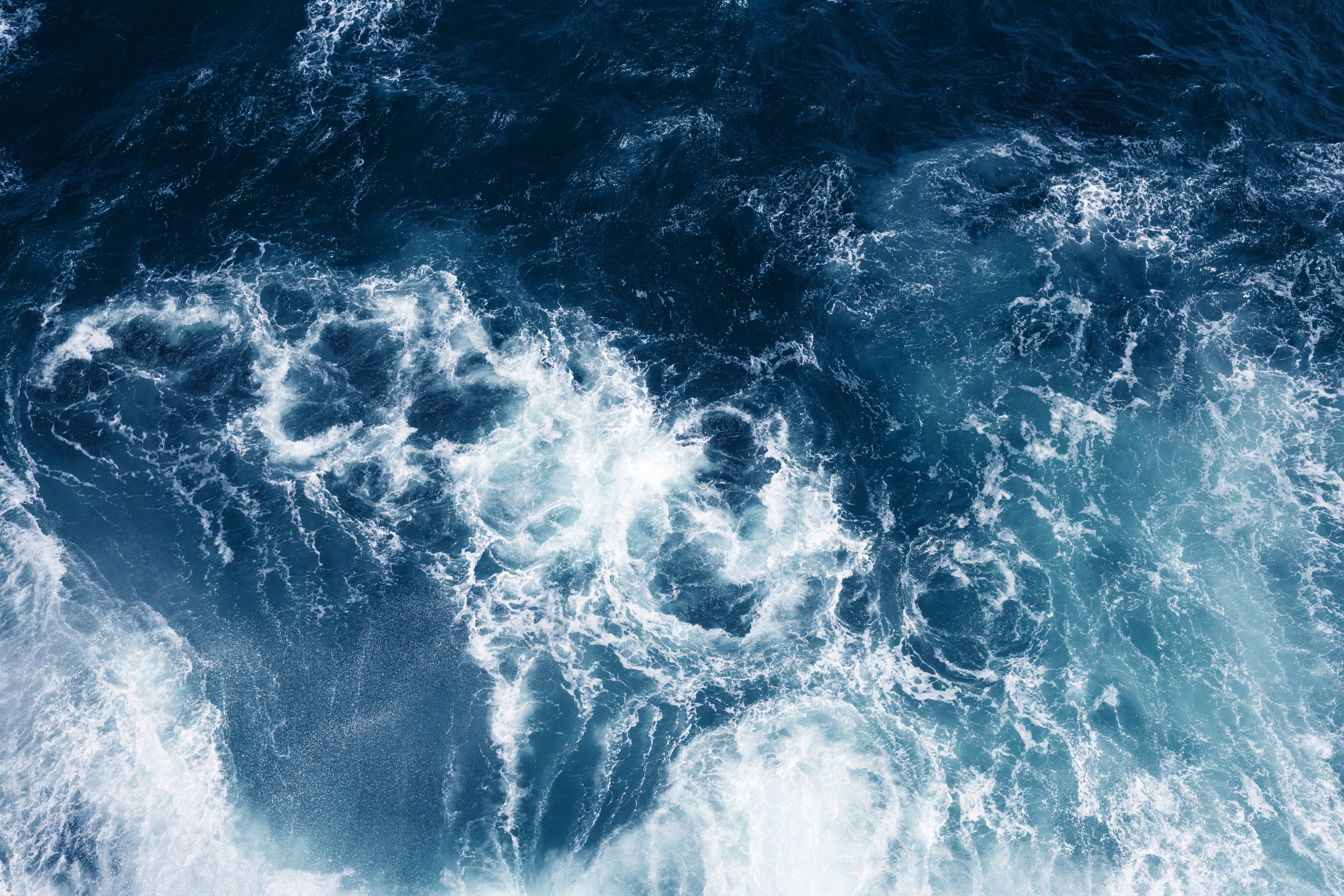 The ocean 