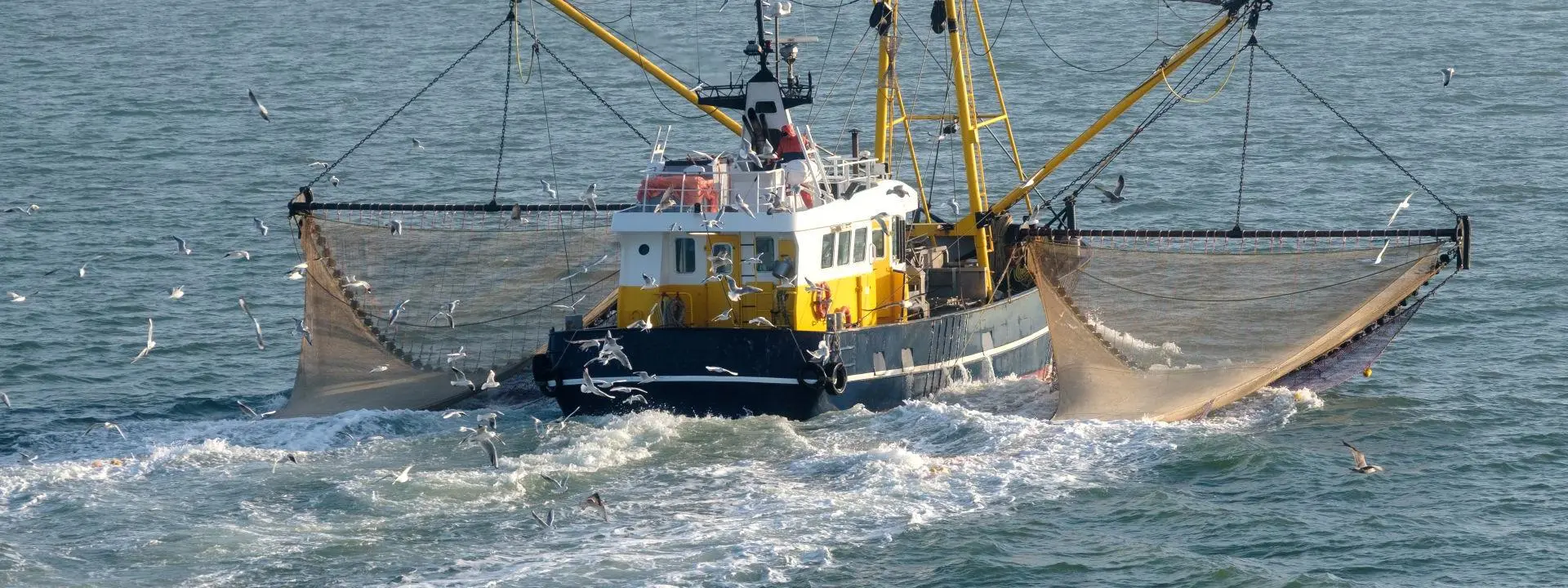 A fishing trawler moves across open water with wide nets extended on both sides, while numerous seabirds fly and gather around the wake behind the boat.