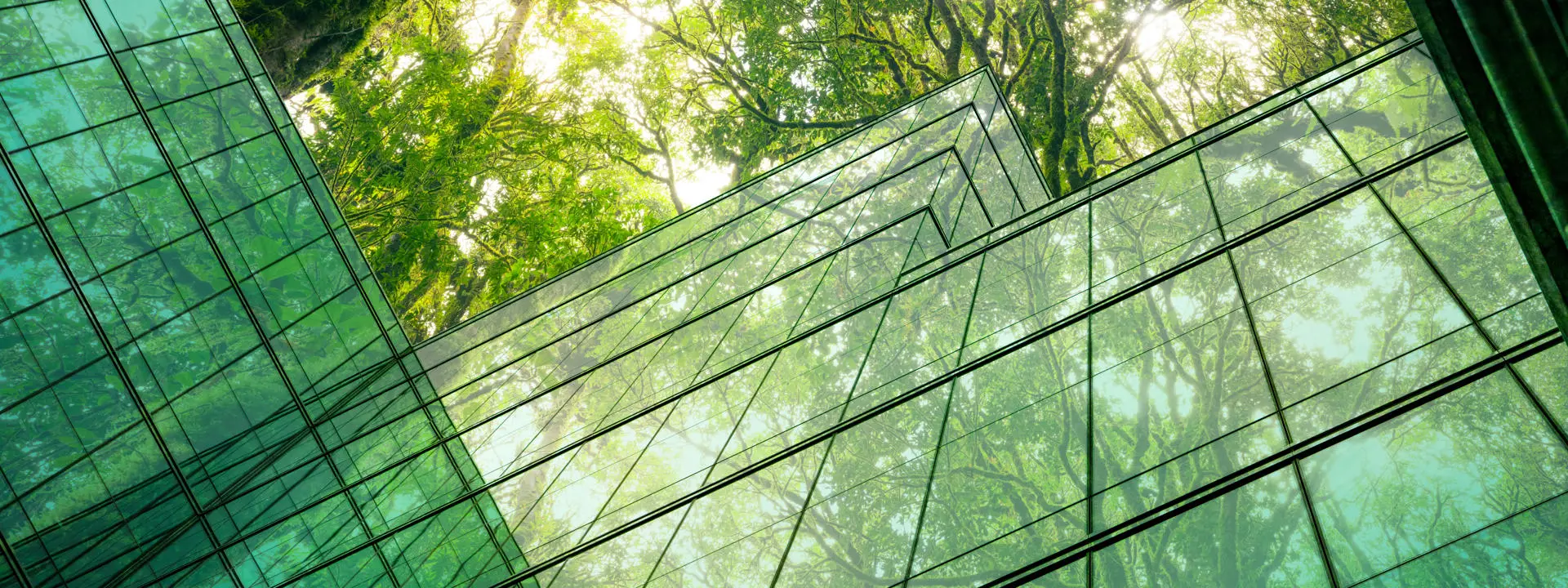 Green glass windows with greens trees above