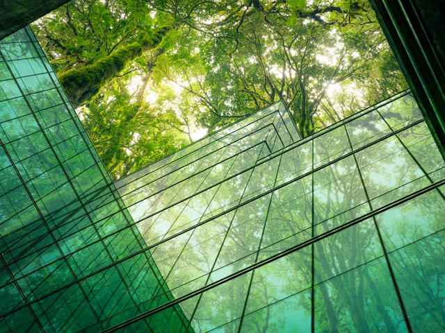 Green glass windows with greens trees above