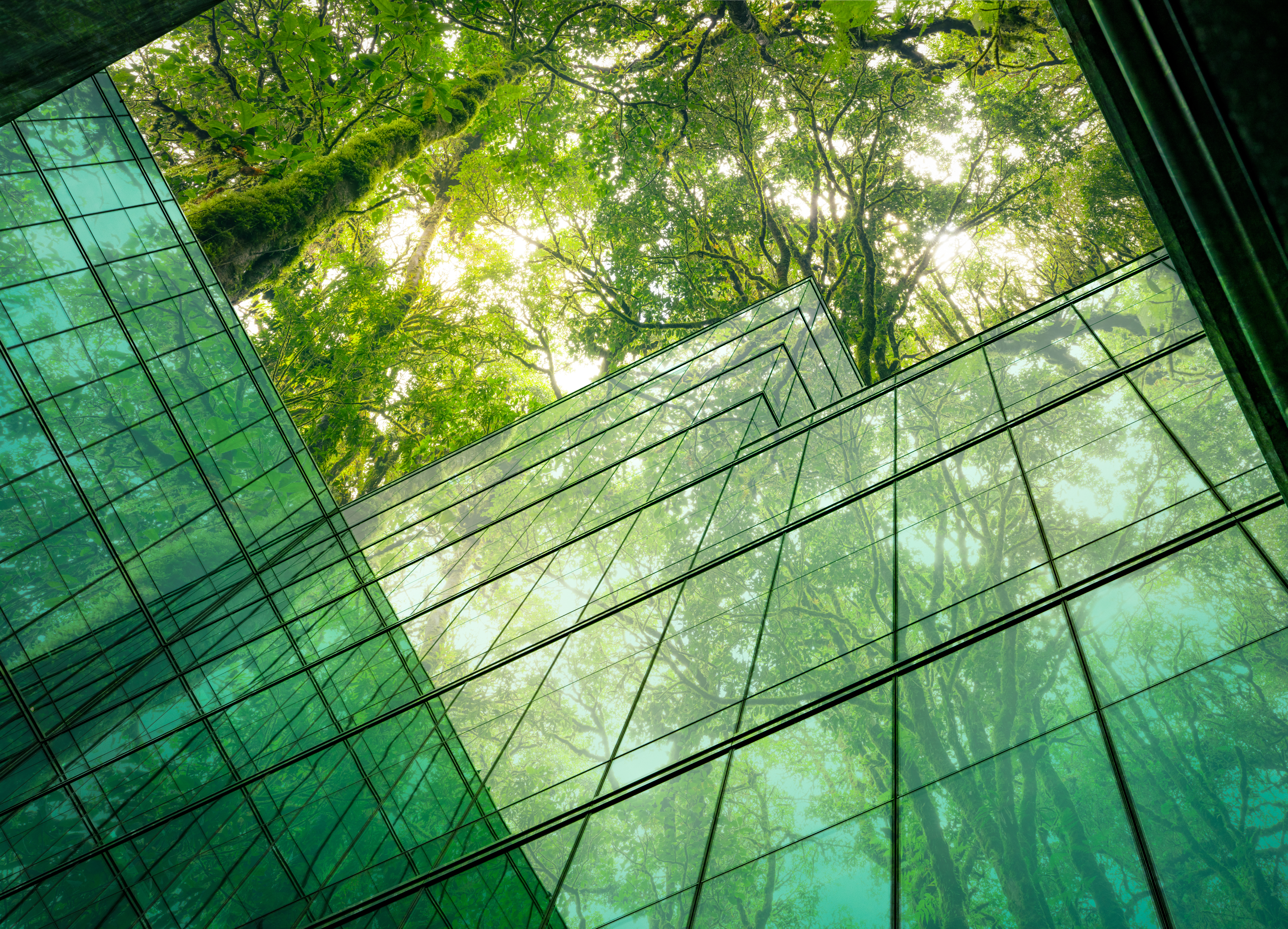 Green glass windows with greens trees above