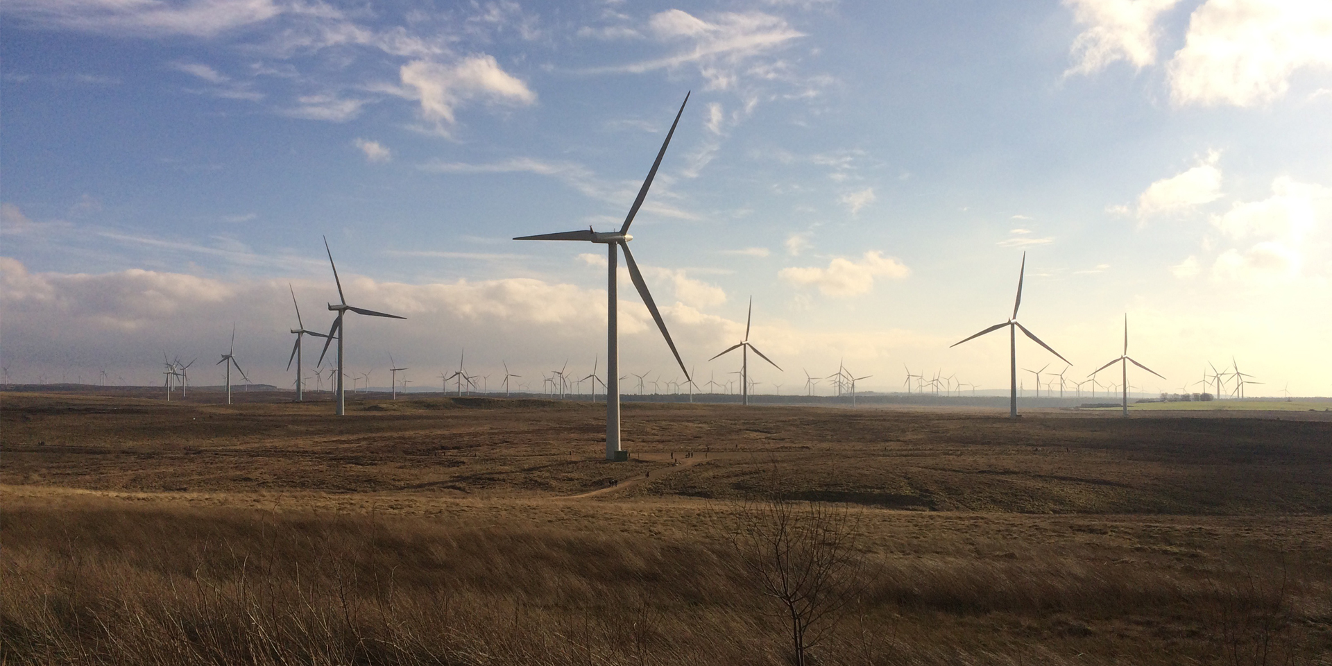 Wide view of a wind farm with multiple large wind turbines.