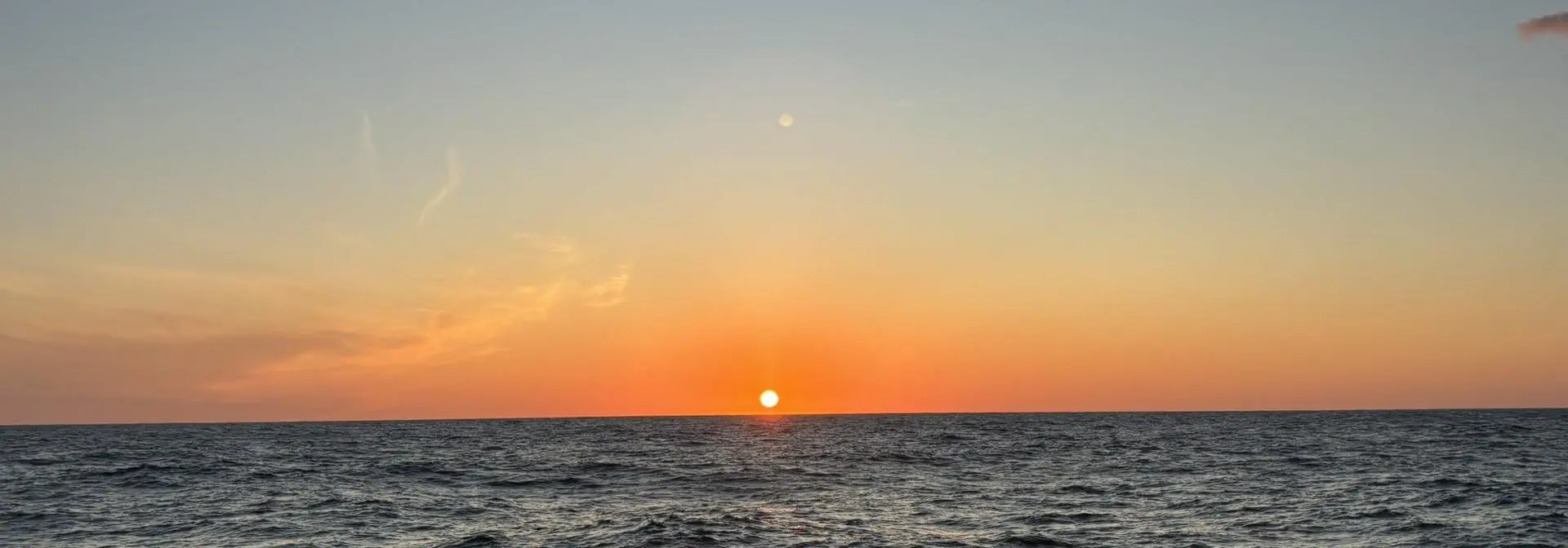 Bio-carbon ocean