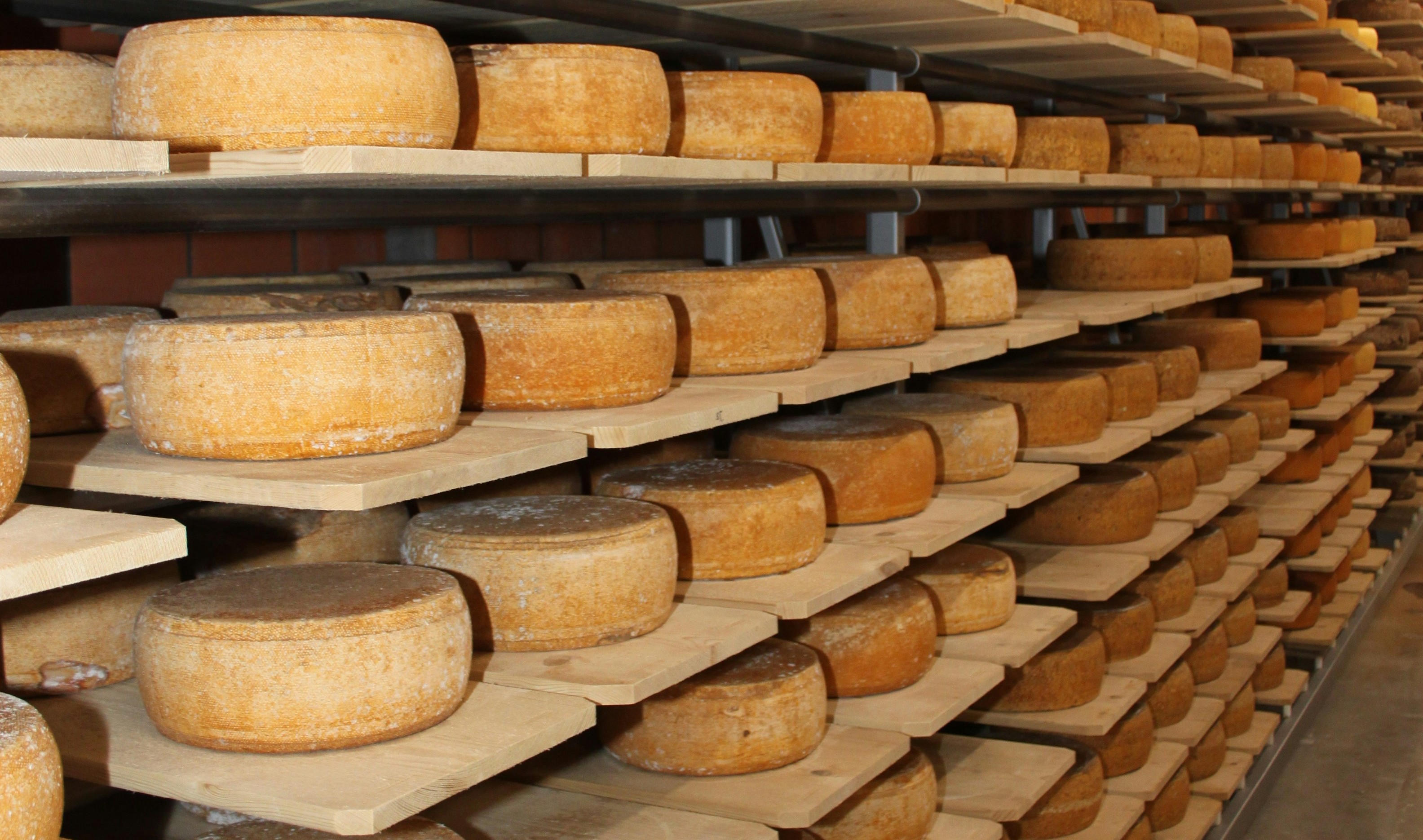 Cheese production creates tonnes of waste credit Silke Liebig Braunholz Unsplash
