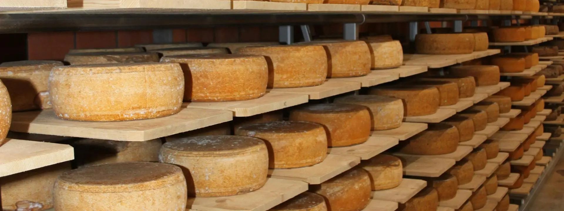 Cheese production creates tonnes of waste credit Silke Liebig Braunholz Unsplash