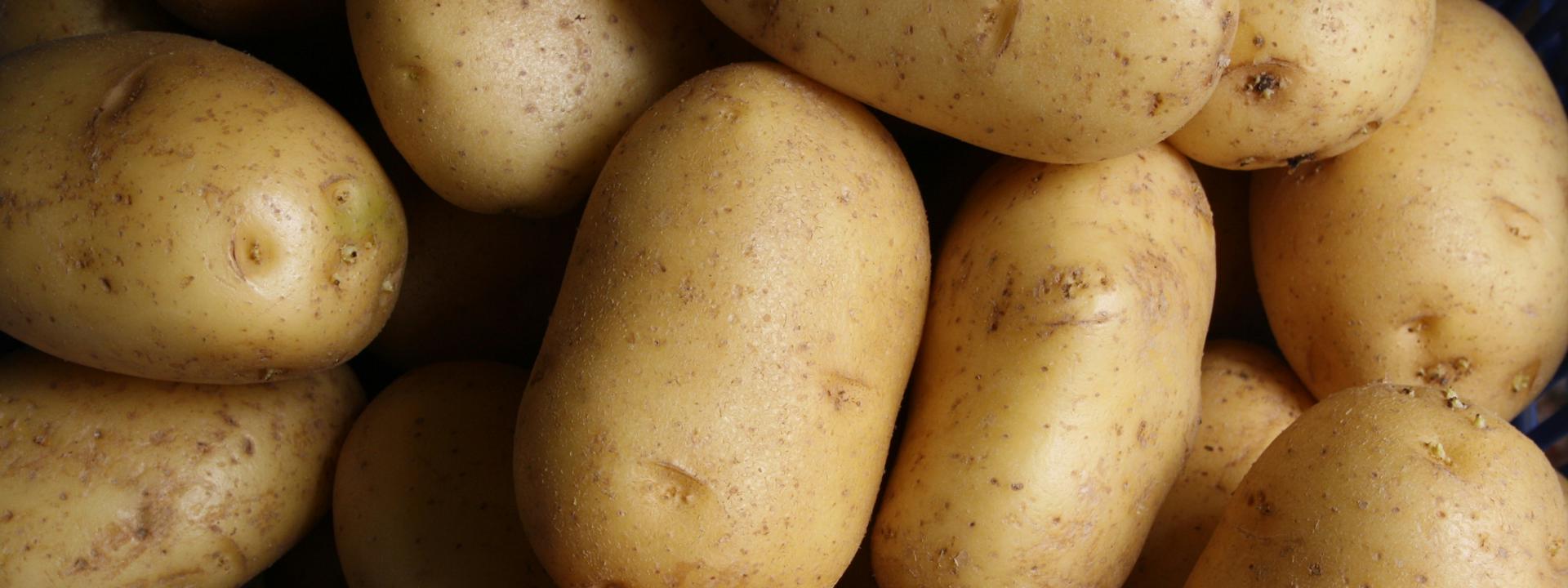 A picture of potatoes from an arial view