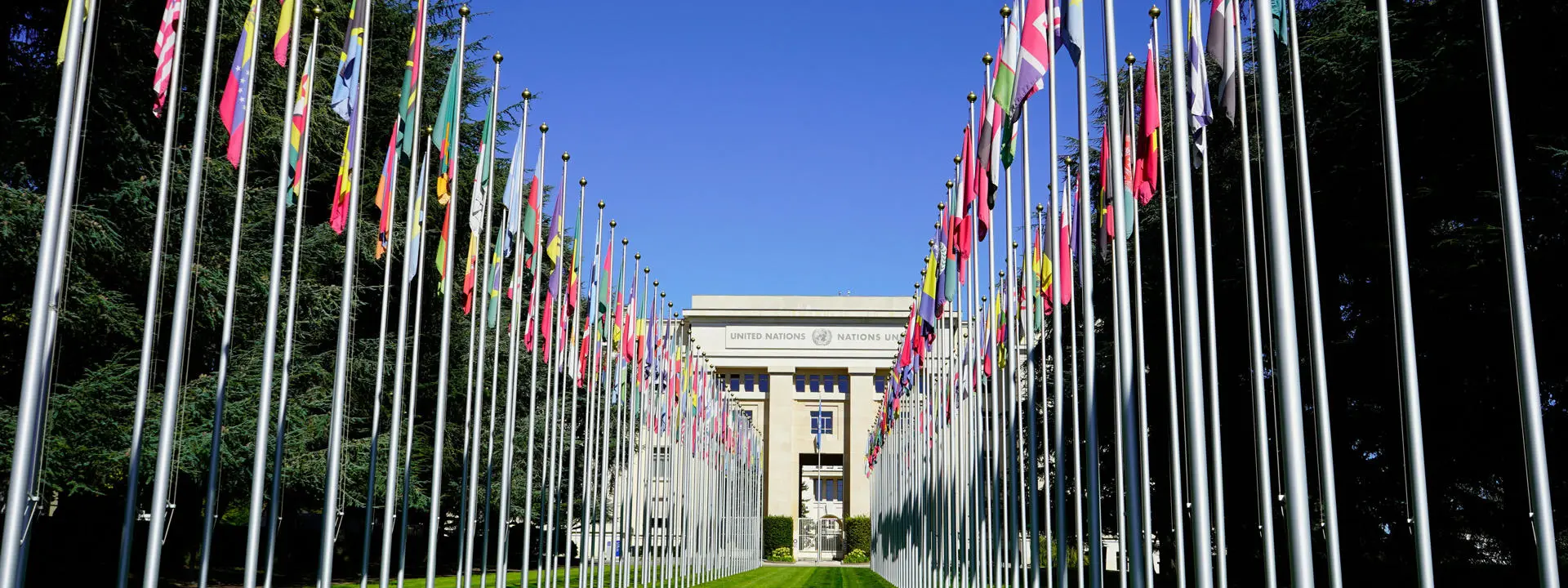 Flags at the European headquarters of the United Nations. Photo by Meizhi Lang, Unsplash.