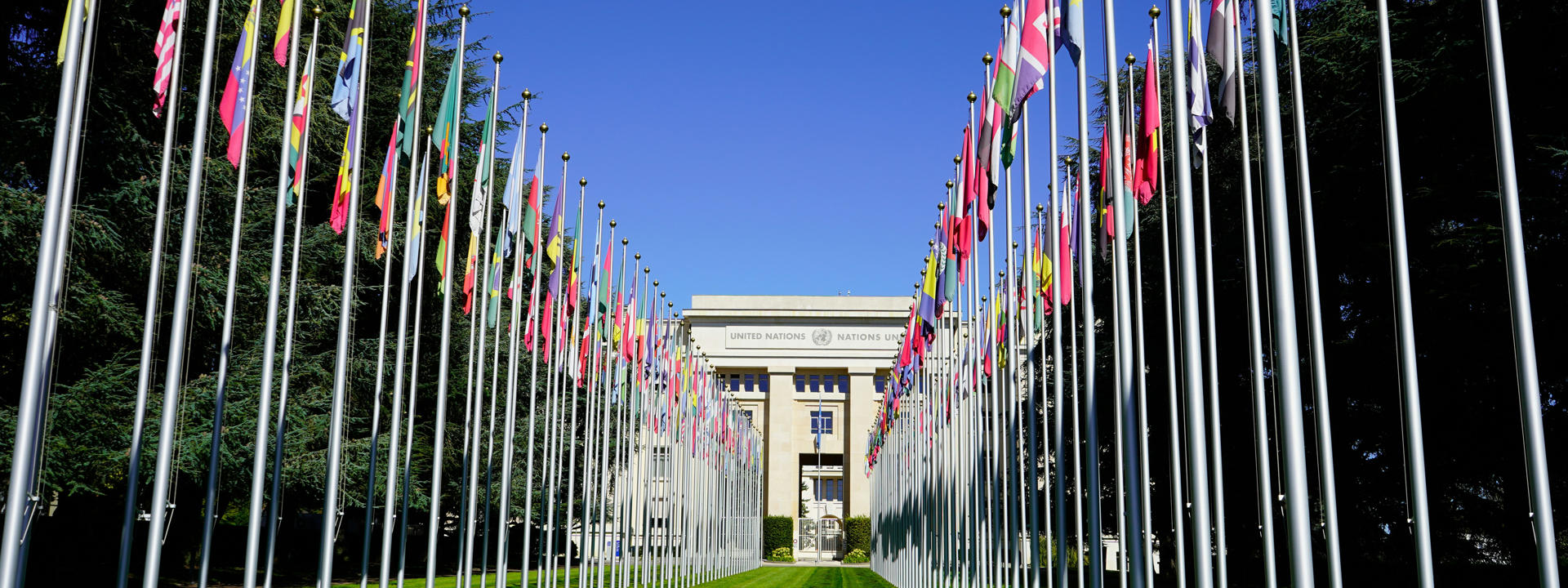 Flags at the European headquarters of the United Nations. Photo by Meizhi Lang, Unsplash.
