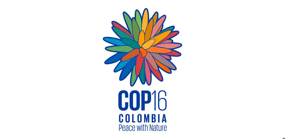 The 2024 United Nations Biodiversity Conference takes place from 21 October to 1 November in Colombia, South America